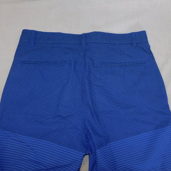 Nike Golf Modern Fit DriFit Mens 30 Blue Striped Flat Front Short - Picture 10 of 11